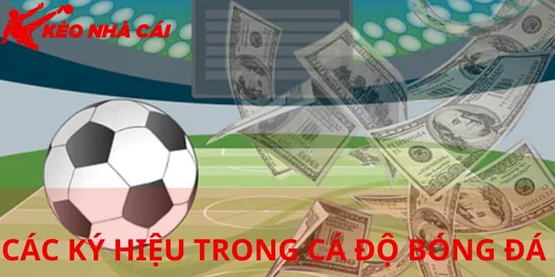 Các ký hiệu trong cá độ bóng đá kèo Châu Á
