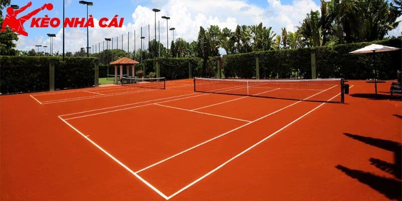 Tìm Hiểu Kích Thước Sân Tennis Và Những Điều Cần Biết - co rat nhieu loai mat san trong bo mon tennis Có rất nhiều loại mặt sân trong bộ môn tennis