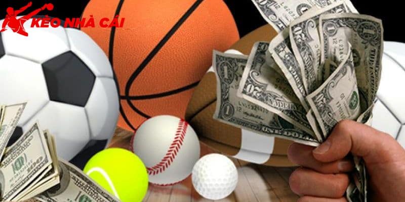 Sự Thật Về 8xbet Uy Tín Hay Lừa Đảo Dành Cho Người Chơi - lam ro noi dung ve 8xbet uy tin hay lua dao Làm rõ nội dung về 8xbet uy tín hay lừa đảo