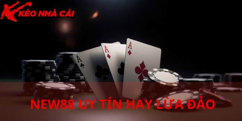 Đánh Giá Tổng Quan Về Vấn Đề NEW88 Uy Tín Hay Lừa Đảo - nhung thong tin co ban Những thông tin cơ bản