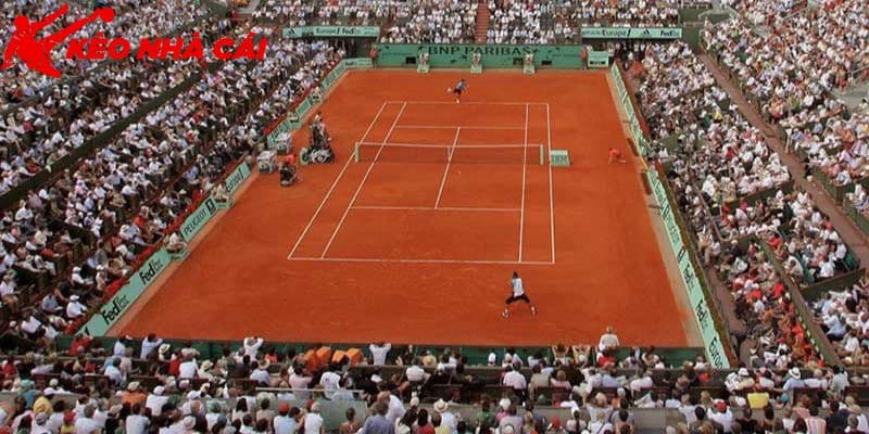 Tìm Hiểu Kích Thước Sân Tennis Và Những Điều Cần Biết - san thi dau tennis phai thiet ke dung tieu chuan Sân thi đấu tennis phải thiết kế đúng tiêu chuẩn