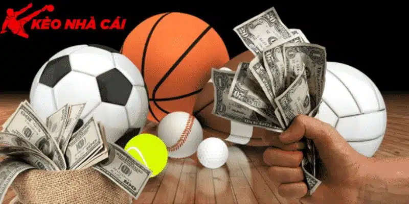 Chia Sẻ Cách Chơi Cá Độ Bóng Đá Online Cho Tân Thủ Mới - tham gia don gian Tham gia đơn giản