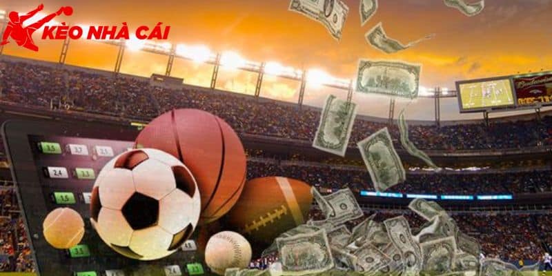 Thông tin cách chơi cá độ bóng đá online