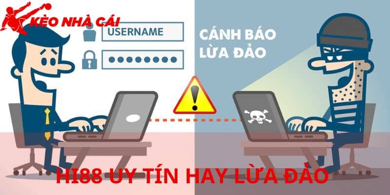 Tìm Kiếm Câu Trả Lời Cho Nghi Vấn HI88 Uy Tín Hay Lừa Đảo - thong tin co ban 1 Thông tin cơ bản
