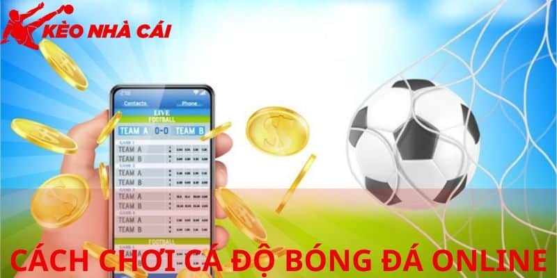 Thông tin cơ bản cá độ bóng đá online