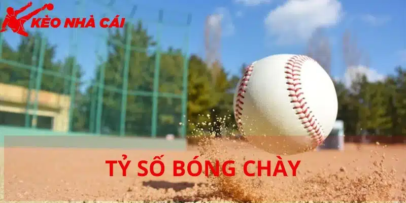 Tất Tần Tật Về Cá Độ Tỷ Số Bóng Chày Hiện Nay Tại Kèo Nhà Cái - thong tin ve ca do ty so bong chay Thông tin về cá độ tỷ số bóng chày