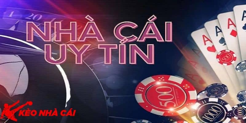 Đánh Giá Tổng Quan Về Vấn Đề NEW88 Uy Tín Hay Lừa Đảo - tra loi tu chung toi Trả lời từ chúng tôi