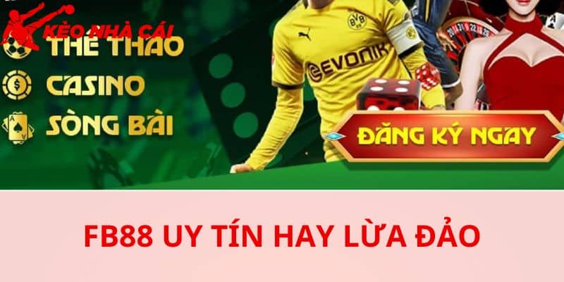 Fb88 Uy Tín Hay Lừa Đảo - Mục Đích Của Những Tin Đồn Này - ai la nguoi duoc loi neu xuat hien thong tin fb88 lua dao Ai là người được lợi nếu xuất hiện thông tin FB88 lừa đảo
