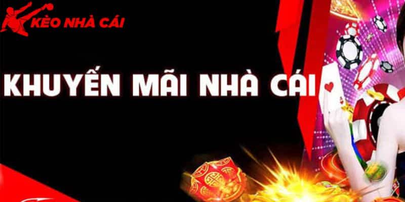 Sự Giải Đáp Về Tin Đồn W88 Lừa Đảo Và Gian Dối Khi Cá Cược - khong duoc huong nhieu khuyen mai da lam day len tin don ve noi nay Không được hưởng nhiều khuyến mãi đã làm dấy lên tin đồn về nơi này
