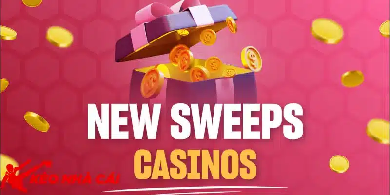 23WIN Uy Tín Hay Lừa Đảo - Thông Tin Từ Kèo Nhà Cái Chi Tiết - danh gia cua hoi vien lau nam ve do uy tin cua nha cai 23win Đánh giá của hội viên lâu năm về độ uy tín của nhà cái 23WIN